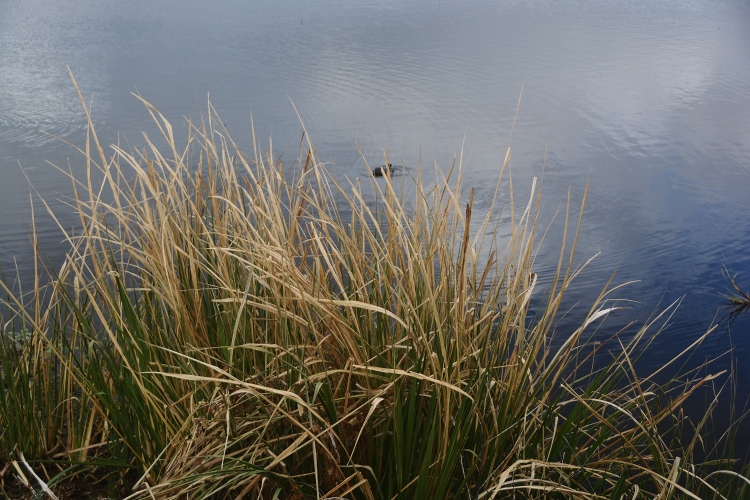 state park landscape